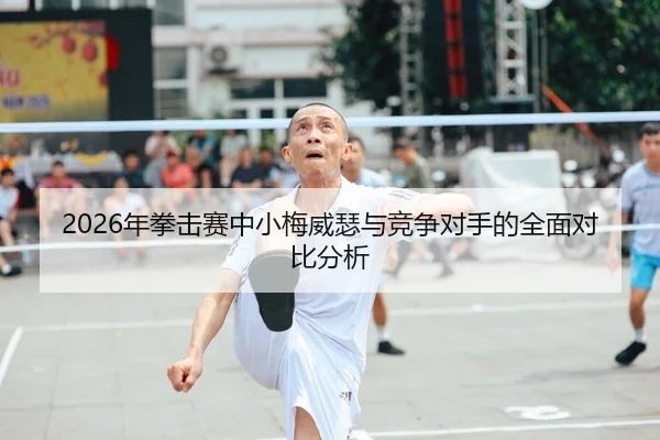 2026年拳击赛中小梅威瑟与竞争对手的全面对比分析