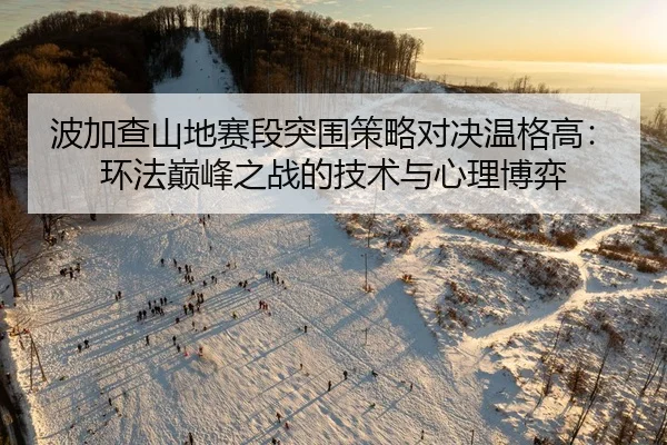 波加查山地赛段突围策略对决温格高：环法巅峰之战的技术与心理博弈
