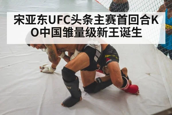 宋亚东UFC头条主赛首回合KO中国雏量级新王诞生