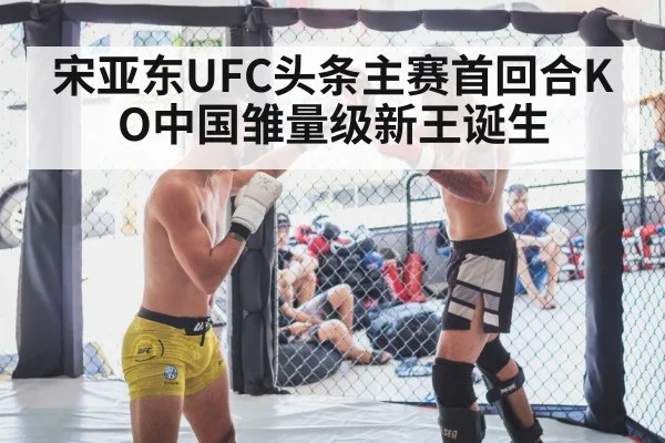 MMA cage fight